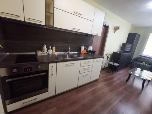 uma cozinha com um lavatório e um fogão forno superior em Двустаен апартамент в центъра на гр. Бургас em Burgas