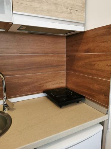 a small kitchen with wooden cabinets and a sink at Šilja Kopaonik S45 Milmari in Kopaonik