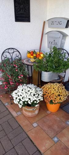 two potted plants and flowers on a patio at Gästehaus Klein in Hilders