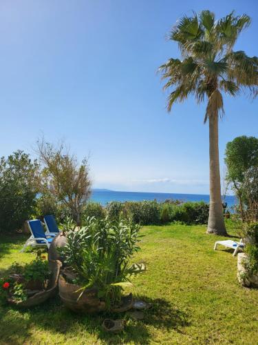 a palm tree and two lounge chairs in a yard at Kanalli Apartments in Pomos