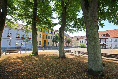 ヴェセンベルクにあるFerienhaus Wesenberg SEE 5461の建物のある公園内の木々