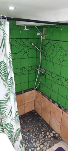 a green bathroom with a shower with a green wall at Studio Les Cadichons de la Grange in Saint-Péray