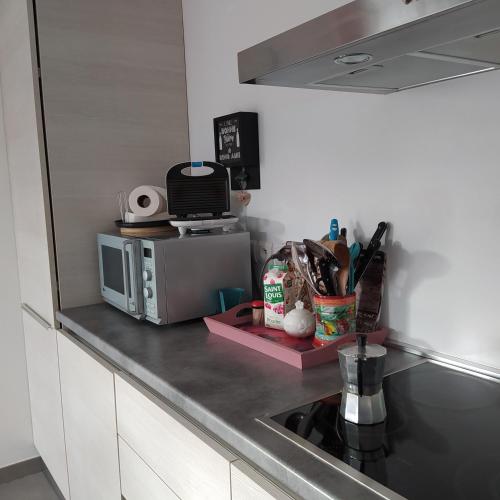 une cuisine avec un comptoir avec un micro-ondes dans l'établissement MENTON Park Apartment, à Menton