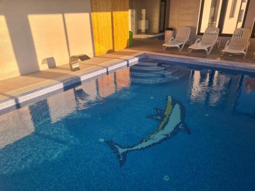 Bazén v ubytování Pensiunea GOLD Wellness&Spa nebo v jeho okolí