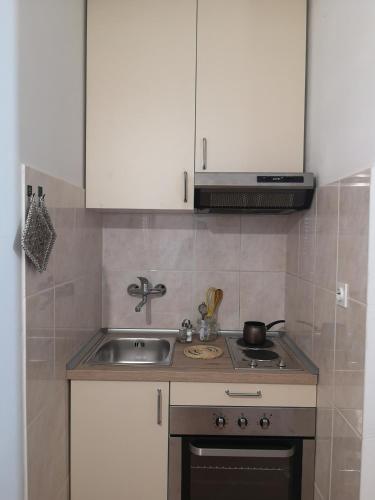 a kitchen with white cabinets and a sink at Kuća Cvjetković in Gruda