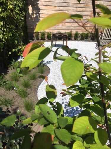 a garden with a bench in the middle of a pond at Domus Damme in Damme