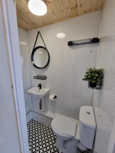 a bathroom with a toilet and a sink and a mirror at The Dolphin Hotel in Pembroke Dock