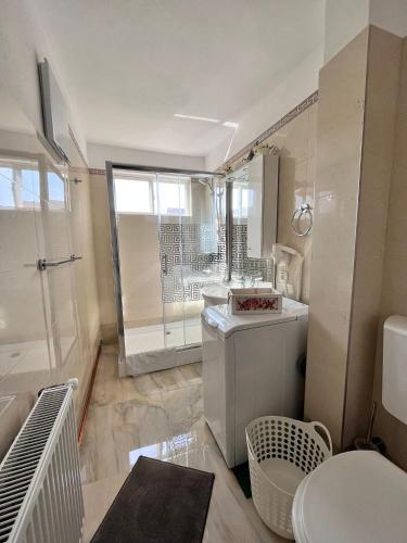 a white bathroom with a shower and a toilet at Apartament Ultracentral David in Pucioasa