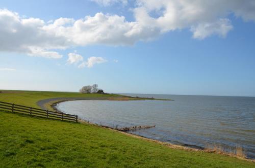 a small island in the middle of a body of water at 'It Mearke in Molkwerum