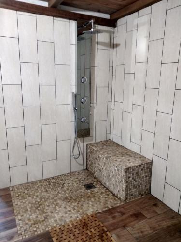 La salle de bains est pourvue d'une douche avec un banc. dans l'établissement Studio cosy proche du volcan, à Le Tampon