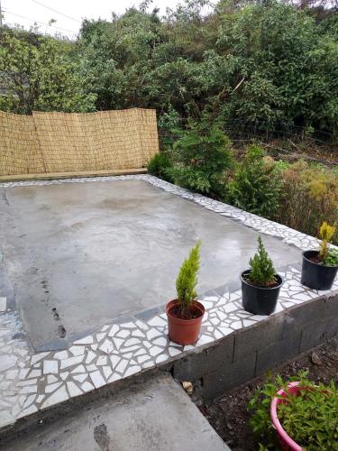 a concrete patio with three potted plants on it at Studio cosy proche du volcan in Le Tampon