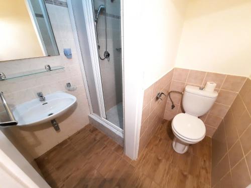 a bathroom with a shower and a toilet and a sink at Pension City Center in Prague