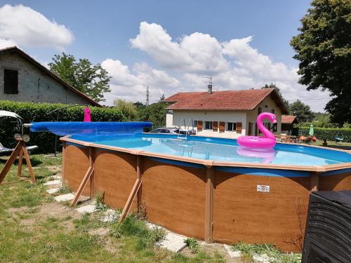 une grande piscine avec des flamants roses dans une arrière-cour dans l'établissement lou pitchou prats, à Audon