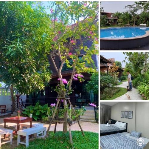 a collage of pictures of a tree and a pool at บ้านสวนใกล้กรุงบางกะเจ้า in Phra Pradaeng