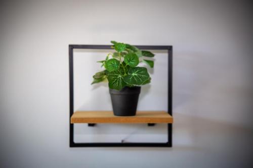 a plant on a shelf in front of a mirror at La Chambre Du Pèlerin in Foy-Notre-Dame