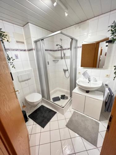 a bathroom with a shower and a toilet and a sink at Gemütliches Appartement an der Riß in Biberach an der Riß