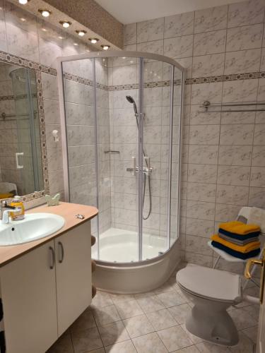 a bathroom with a shower and a toilet and a sink at Ferienwohnung Reese- Horstmann mit Hallenbad und Sauna, WLAN "Harz zu jeder Jahreszeit" in Bad Harzburg