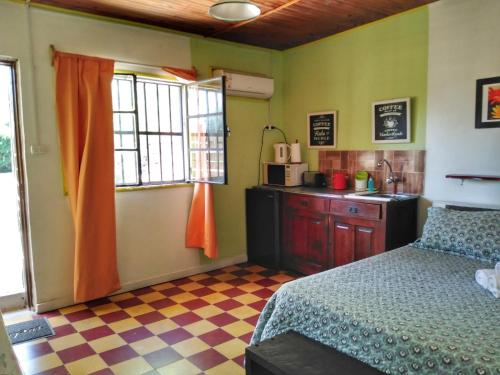 A cozinha ou cozinha compacta de Apartamento Monoambiente Independiente en Salto Ciudad