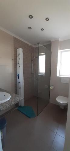 a bathroom with a shower and a toilet and a sink at Apartments Barbic in Medulin