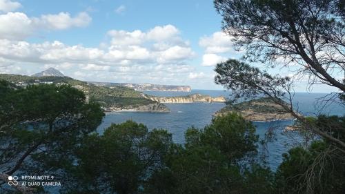 a view of a body of water with trees at Villa Adriana v rezidencii Toscamar in Jávea