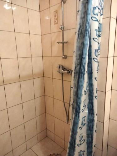 Vonios kambarys apgyvendinimo įstaigoje Hotel Vatra