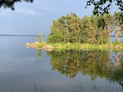 a view of a lake with trees on the shore at Vänvik Pyhtää in Siltakylä