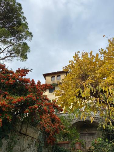 Jardin de l'établissement B&B La Rocca
