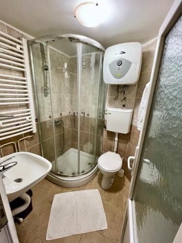 a bathroom with a shower and a toilet and a sink at Apartment Velago in Zlatibor