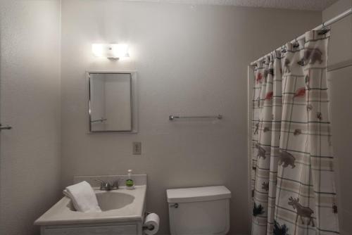 een badkamer met een wastafel, een toilet en een spiegel bij McCarthy House, 3 Bedroom, Deck, Views, Sleeps 6, WiFi in Ruidoso