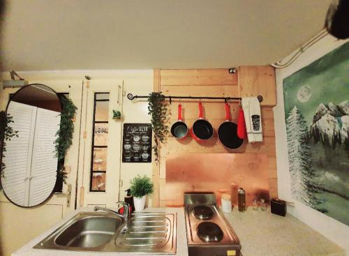 a small kitchen with a sink and a stove at Heidi in Leysin