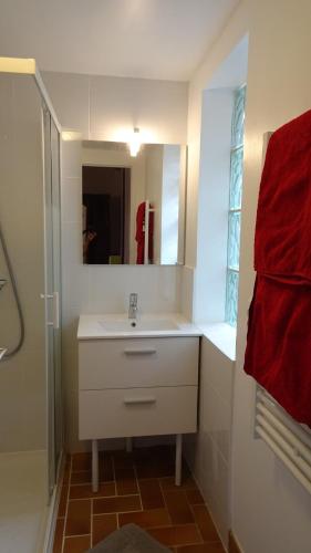 a bathroom with a white sink and a mirror at le paradis des oiseaux in Toulon