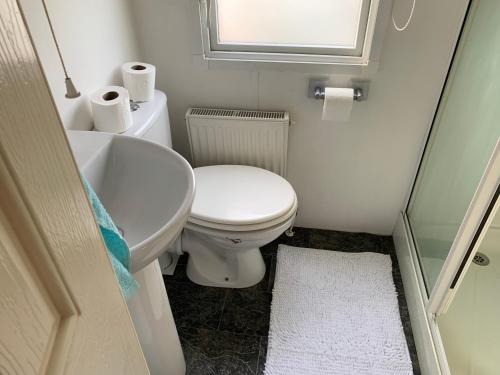 a small bathroom with a toilet and a sink at Charming 5-Beds Caravan in beautiful Seton Sands in Port Seton