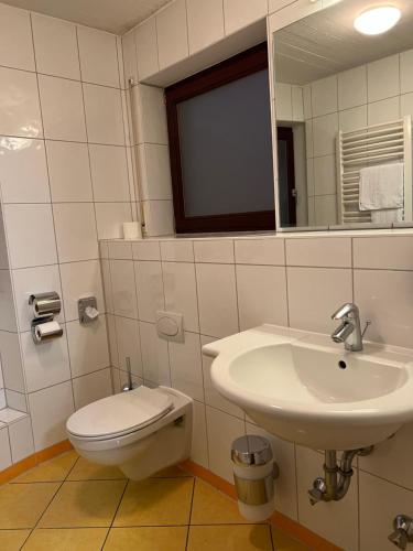 a bathroom with a toilet and a sink at the season in Karlsruhe