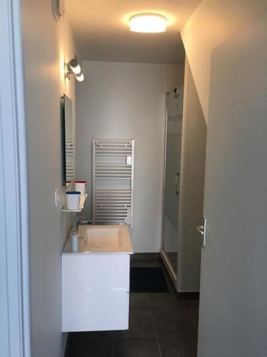une salle de bain avec un lavabo et une douche dans l'établissement villa la marine, à Cayeux-sur-Mer