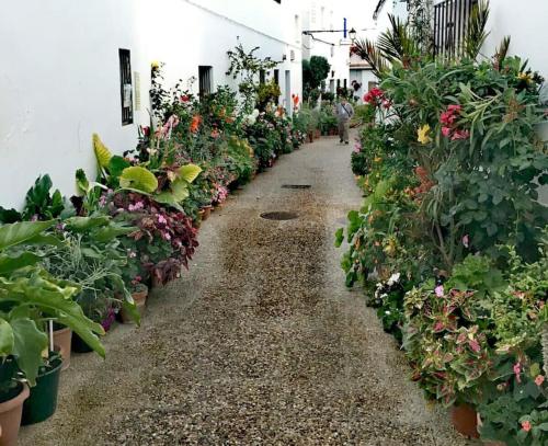 Zahrada ubytování CORAZÓN DE CONIL