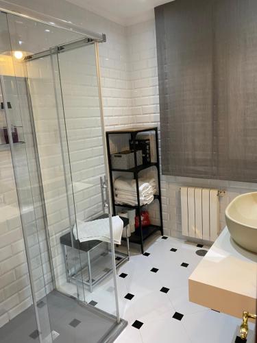 y baño con ducha acristalada y lavamanos. en Precioso y confortable piso en el Casco Histórico, en Oviedo