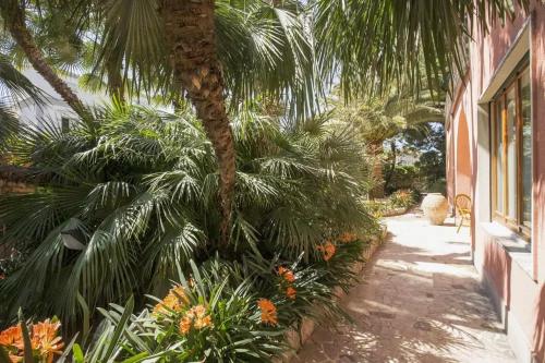 a palm tree sitting next to a building at Villa Rosa Sorrento in Sorrento
