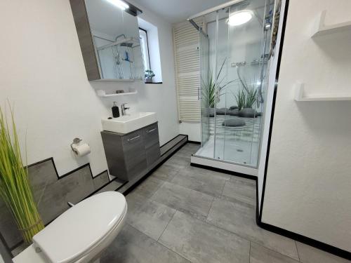 ein Bad mit einem WC, einem Waschbecken und einer Dusche in der Unterkunft Am Feldrain in Hannoversch Münden