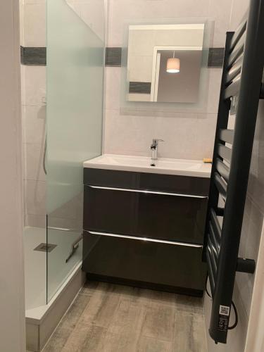 une salle de bain avec un lavabo et une douche dans l'établissement BEAU STUDIO NEUF BORD DE MER Port la Coudouliere, à Six-Fours-les-Plages