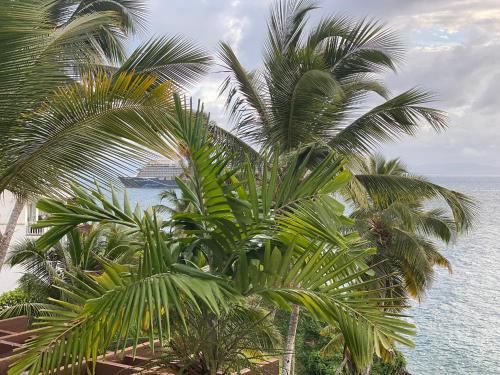 a group of palm trees in front of the ocean at Vista Mare Samana Amazing Views!! in Santa Bárbara de Samaná