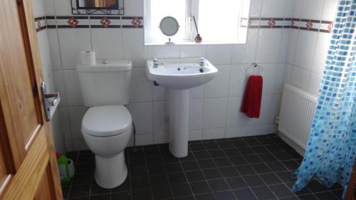 uma casa de banho com um WC e um lavatório em Sligo Wild Atlantic Cottage em Sligo