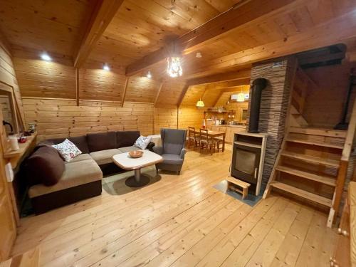 ein Wohnzimmer mit einem Sofa und einem Kamin in der Unterkunft ZŁOTEK in Złoty Stok