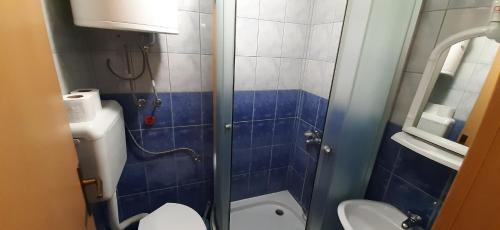 a small bathroom with a toilet and a shower at Apartment Riki 2 in Ohrid