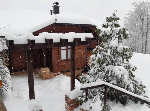 Zlatibor Vila Janjić v zimě
