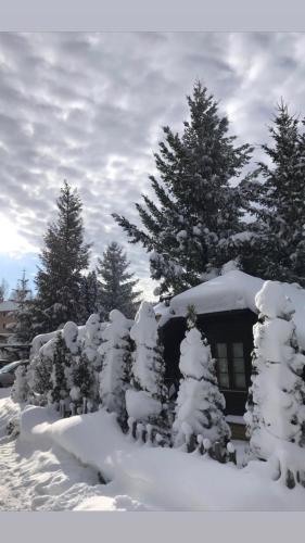 Zlatibor Vila Janjić v zimě