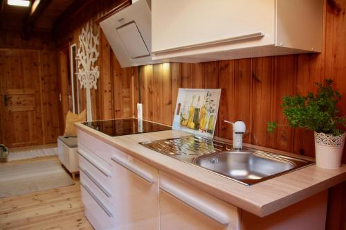 a kitchen with a stainless steel sink and wooden walls at Ferienwohnung Vogelnest in Dietingen
