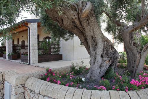 a tree in a flower bed with pink flowers at Casal Sikelio in Cassibile