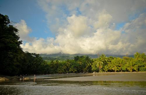 a beach with palm trees and people on the shore at Las Brisas del Sur in Ojochal