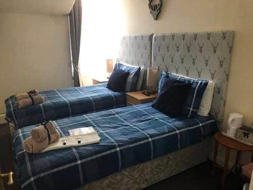 1 dormitorio con 2 camas con sábanas azules y ventana en Harbour bridge, Camps bar en Wick