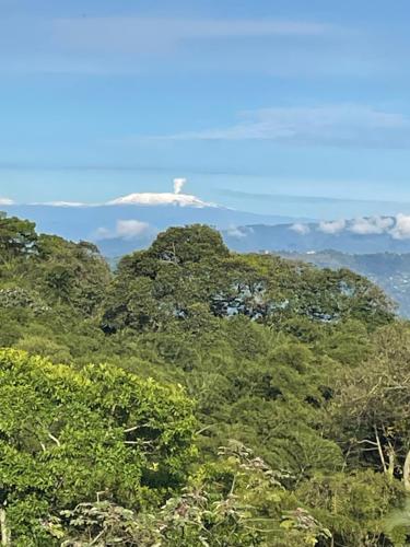 a group of trees with a mountain in the background at Cabaña en El Guadual in Santandercito